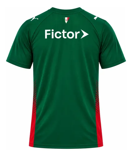 Costas da camisa do Palmeiras